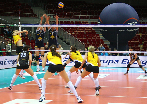 Atom Trefl - Budowlani