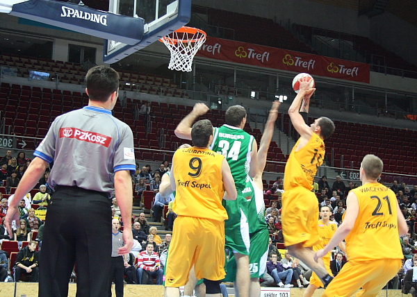 Trefl - Zastal