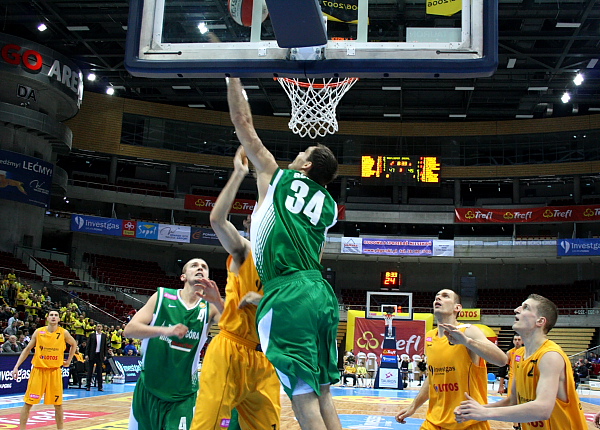 Trefl - Zastal