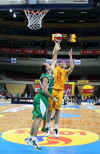Trefl - Zastal