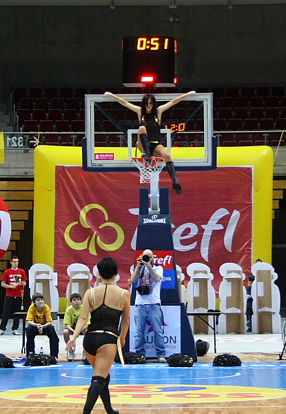 Trefl - Zastal