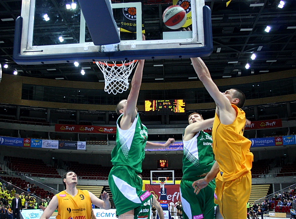 Trefl - Zastal