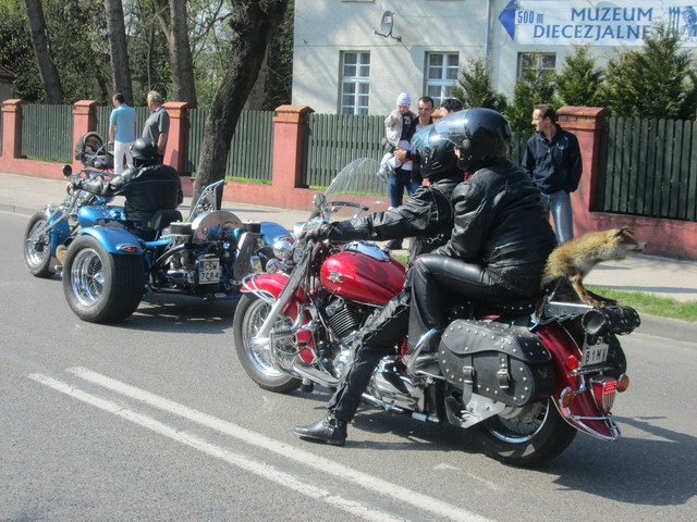 motoswienconka 2014_70