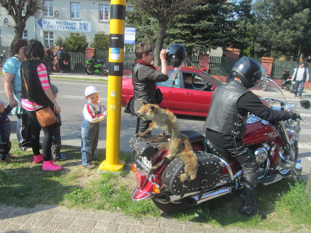 motoswienconka 2014_121