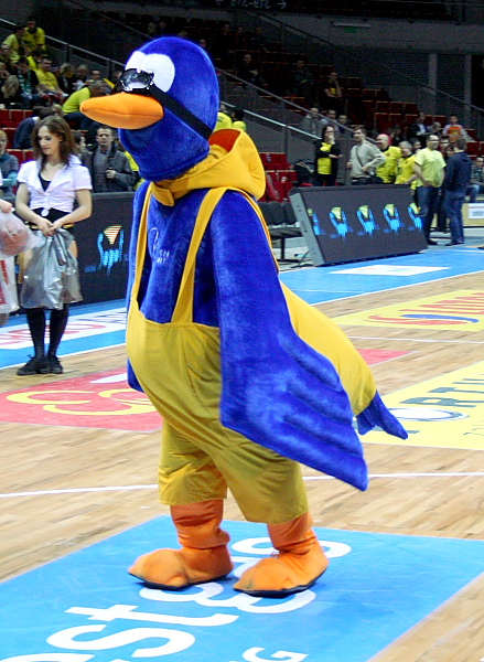 Trefl - PBG