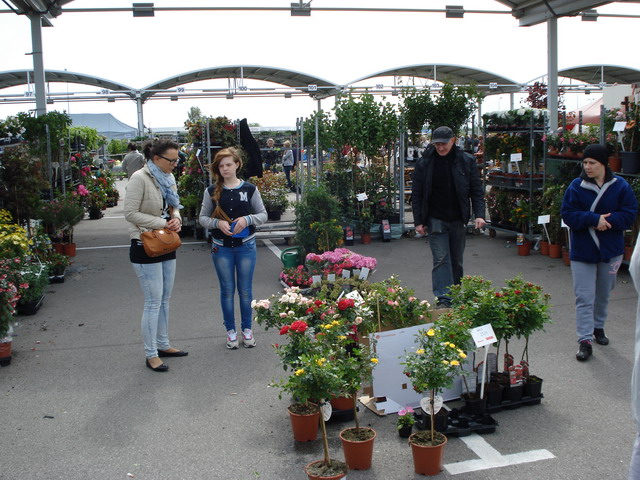 wiosna w ogrodzie 2014_053