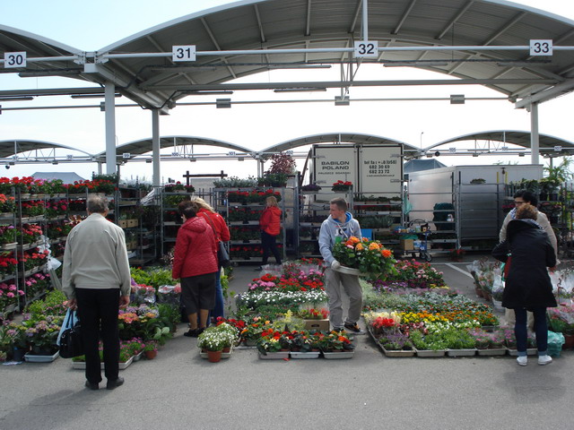 wiosna w ogrodzie 2014_058