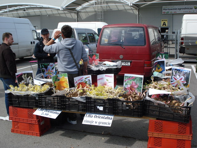 wiosna w ogrodzie 2014_062