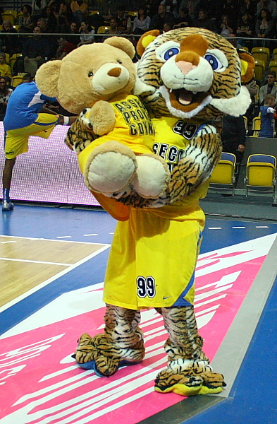 Asseco -Trefl 26-02-2011