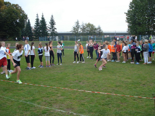 sztafety 2014_15