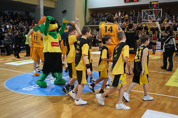 Trefl - Anwil