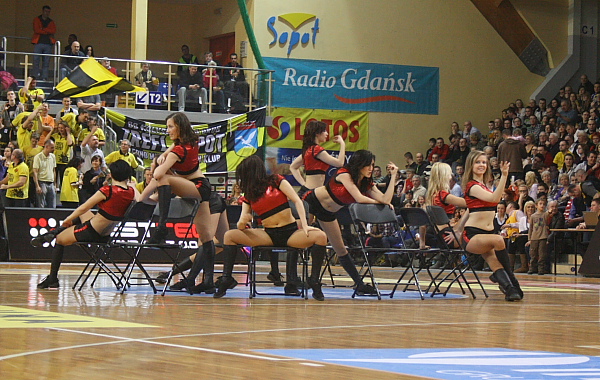 Trefl - Anwil