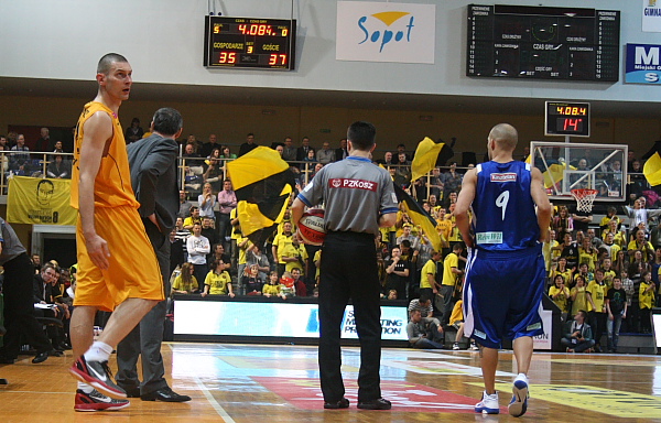 Trefl - Anwil