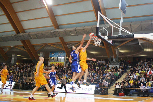 Trefl - Anwil