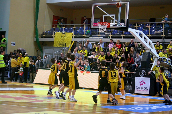 Trefl - Anwil