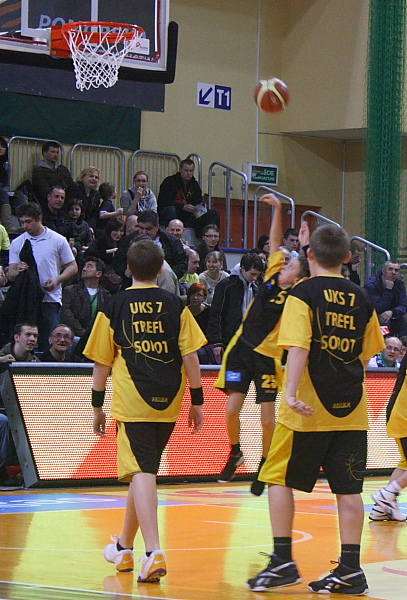 Trefl - Anwil
