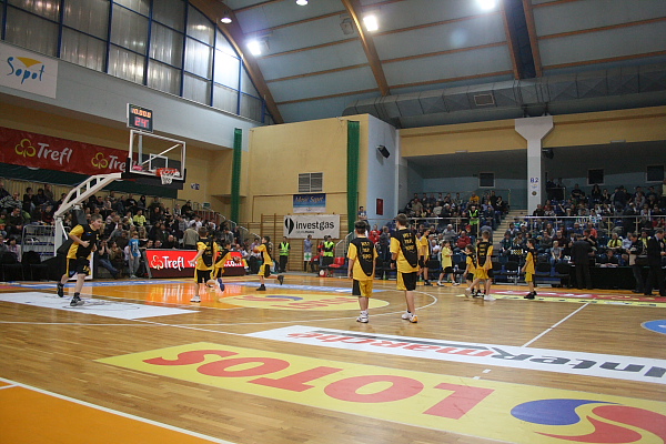 Trefl - Anwil