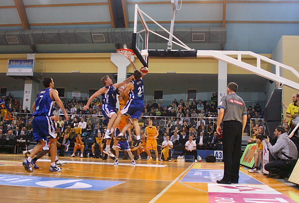 Trefl - Anwil