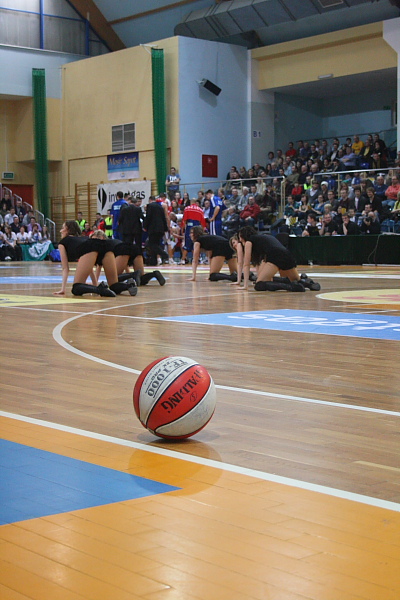 Trefl - Anwil