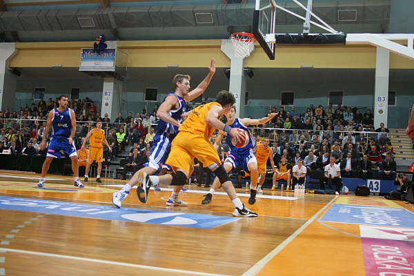 Trefl - Anwil