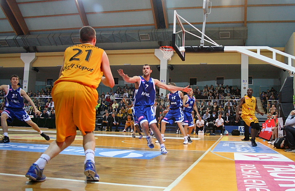 Trefl - Anwil