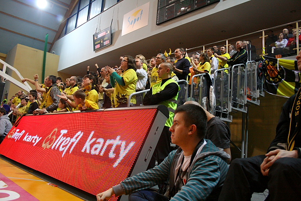 Trefl - Anwil