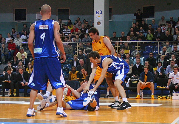 Trefl - Anwil