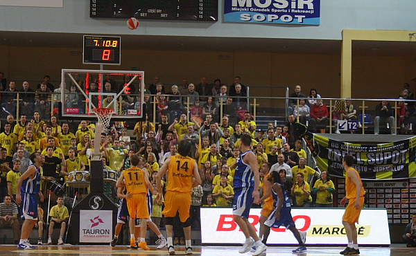 Trefl - Anwil
