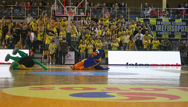 Trefl - Anwil