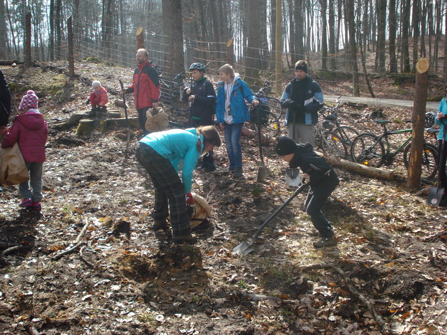 sadzenie drzewek 2015_14