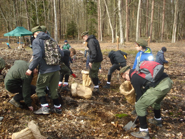 sadzenie drzewek 2015_24