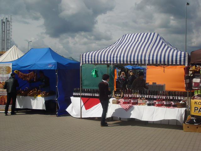 wiosna w ogrodzie 2015_30