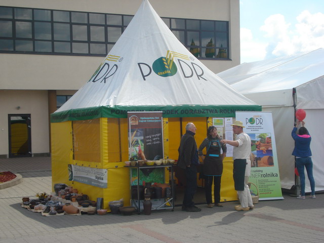 wiosna w ogrodzie 2015_33