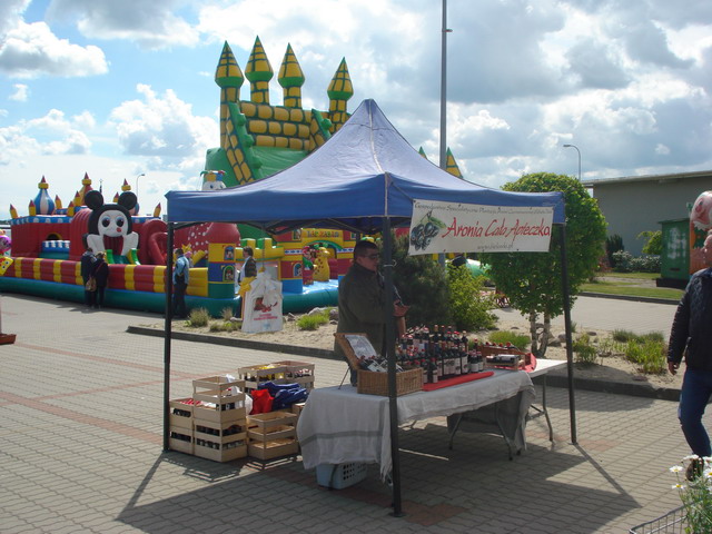 wiosna w ogrodzie 2015_36