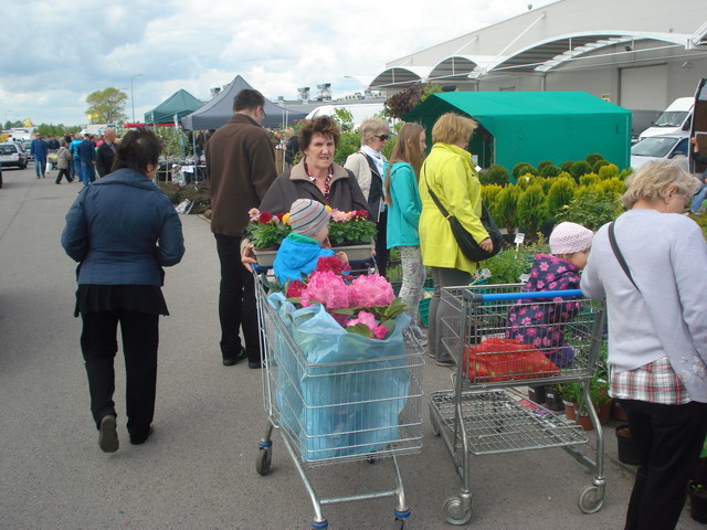wiosna w ogrodzie 2015_99