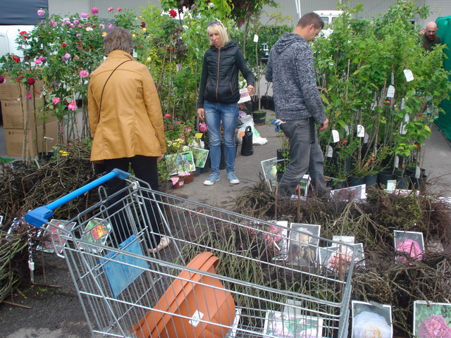 wiosna w ogrodzie 2015_102