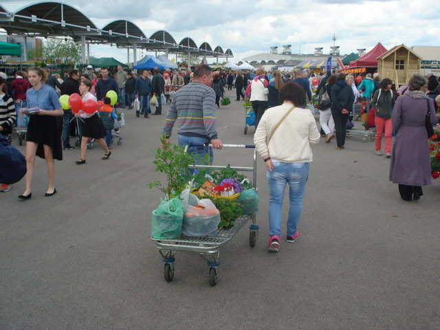 wiosna w ogrodzie 2015_144