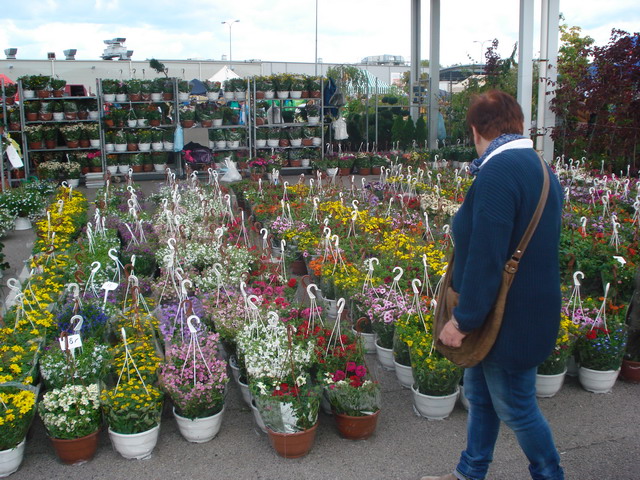 wiosna w ogrodzie 2015_153