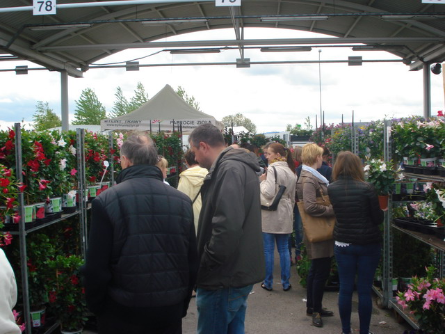 wiosna w ogrodzie 2015_164
