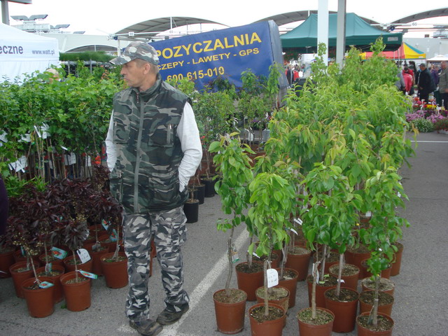 wiosna w ogrodzie 2015_194