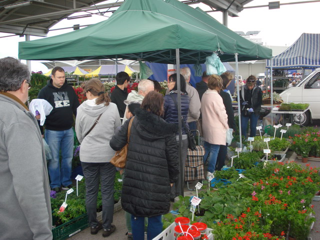wiosna w ogrodzie 2015_201