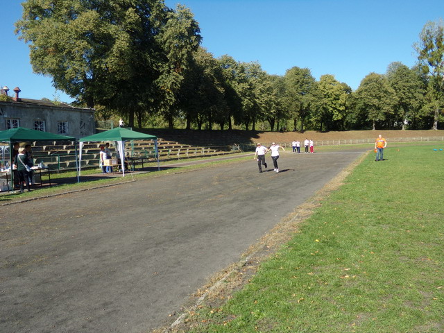 5 olimpiada tpg_131