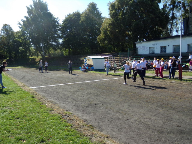 5 olimpiada tpg_132