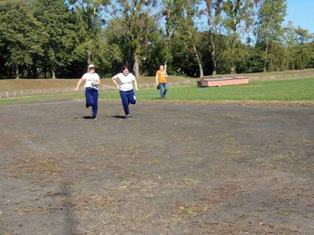 5 olimpiada tpg_133