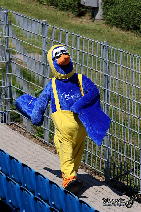wybrzeze - wilki_3