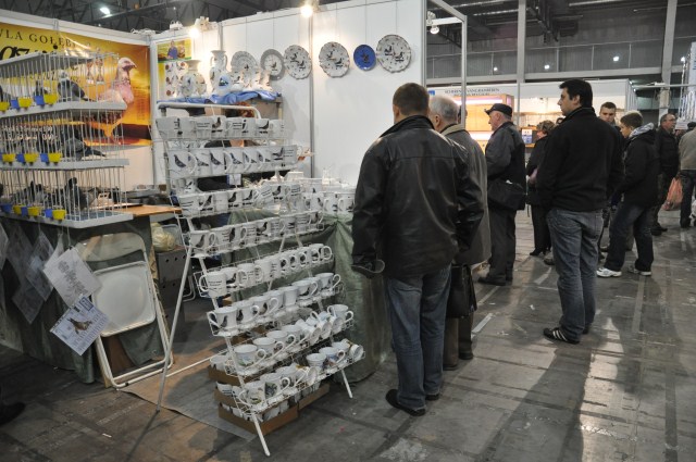 Targi golebi_17