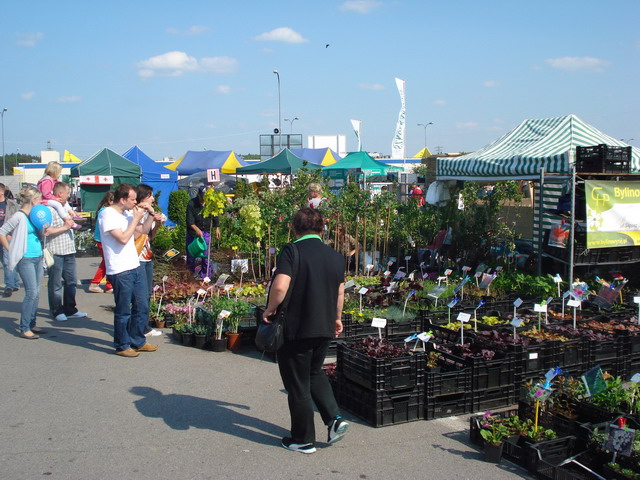 Grajmy w zielone 2012_24